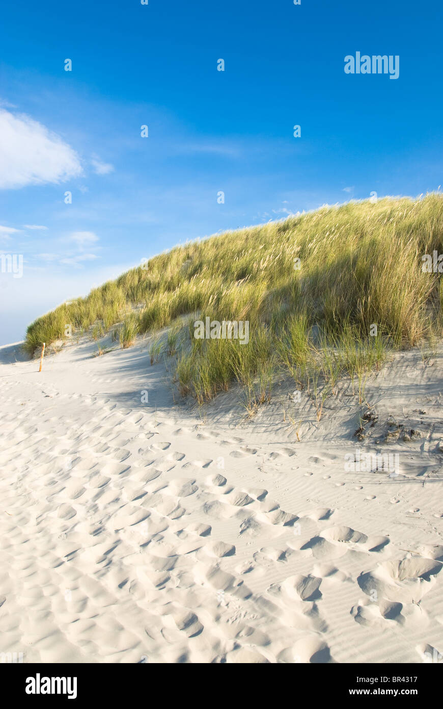 Strand und Dünen auf Wangerooge, Deutschland Stockfoto