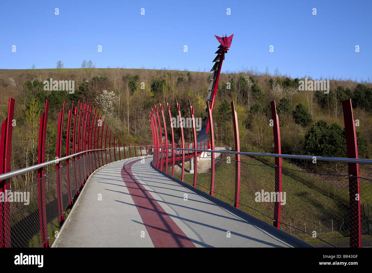 Drachenbrücke in der Halde Hoheward, Recklinghausen, Deutschland Stockfoto