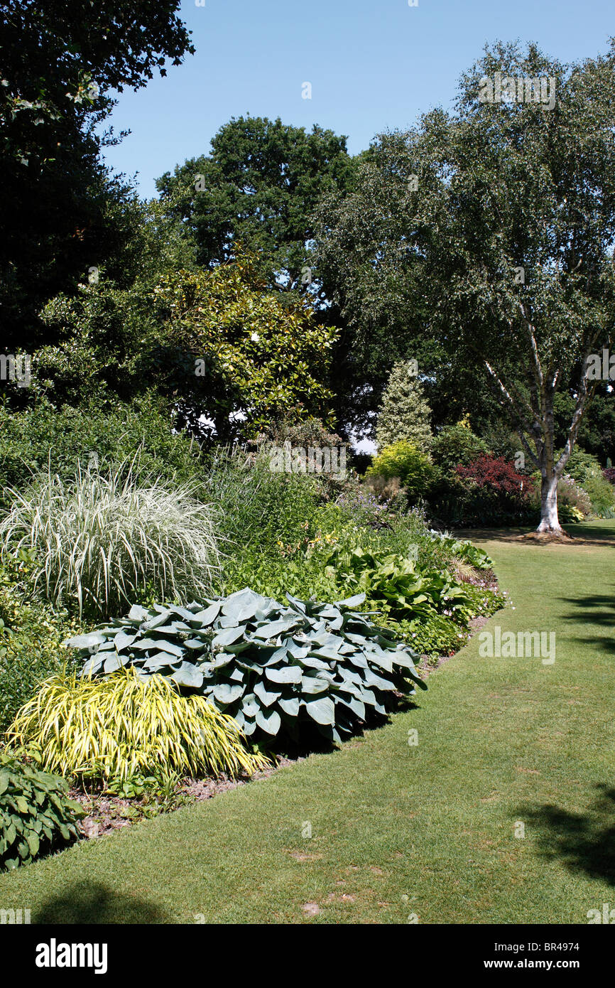 SOMMER-BLUMENBEETE UND GRENZEN INNERHALB DER BETH CHATTO GARTEN. ESSEX. VEREINIGTES KÖNIGREICH. Stockfoto