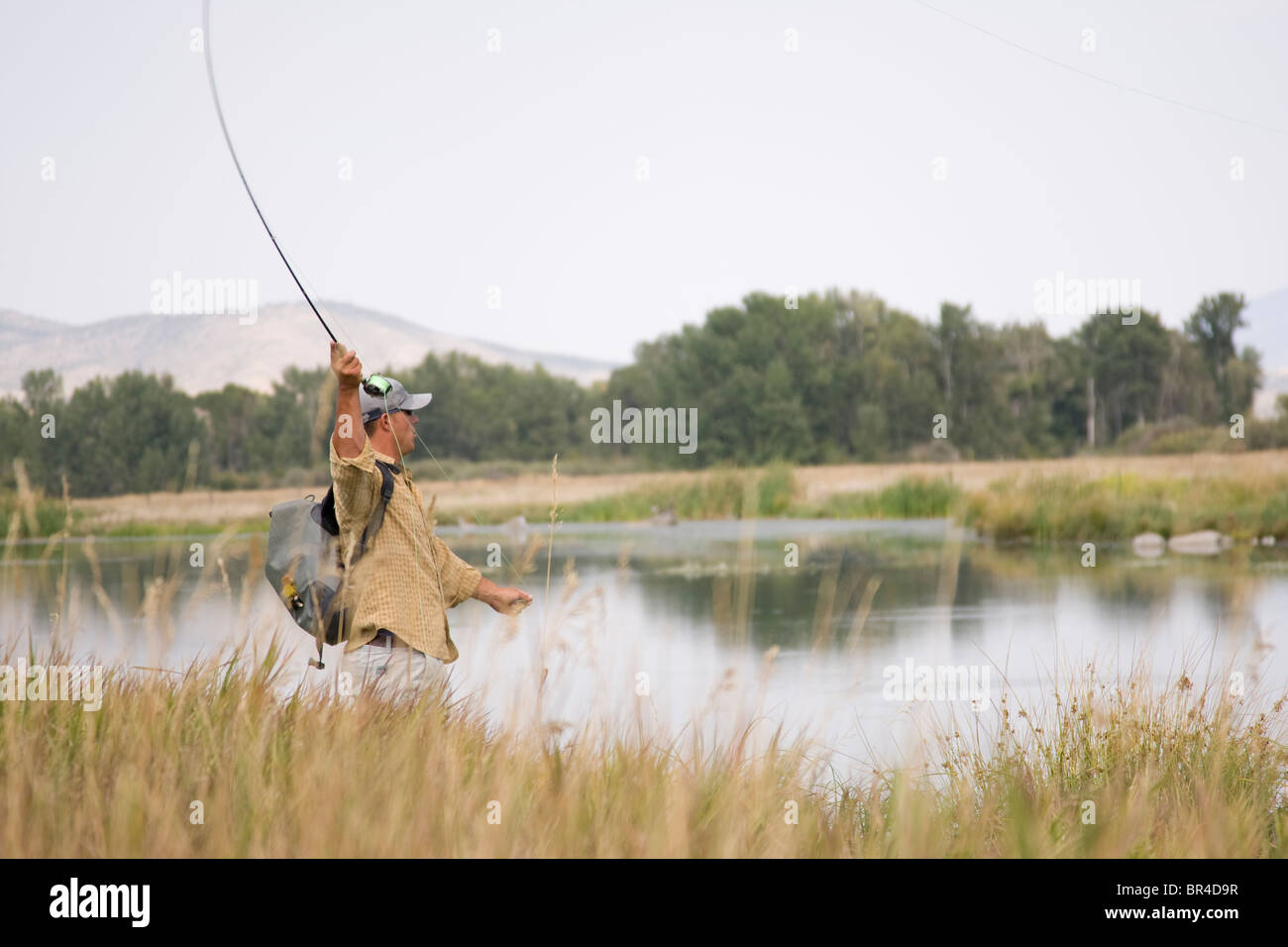 Fliegenfischen Sie auf einem See in Bozeman, Montana. Stockfoto