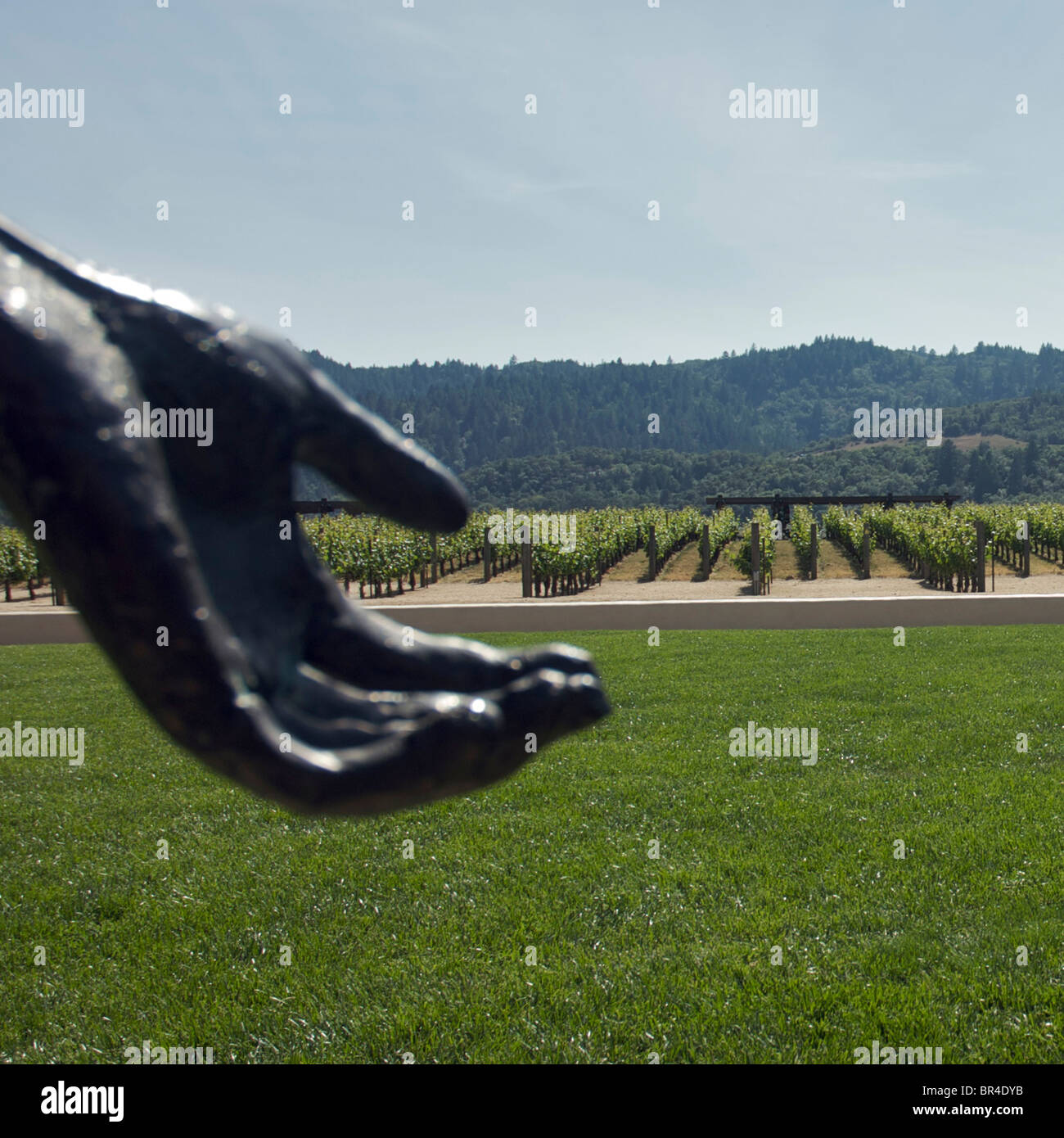 Robert Mondavi Weingut in Napa Valley, Kalifornien Stockfoto