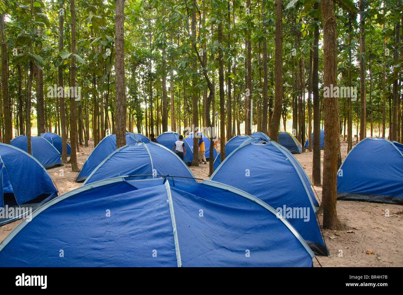 Wald und Zelte im camping Kinder Reise in Thailand Stockfoto