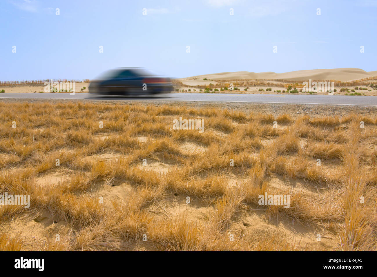 Reed machte Zaun hält Sand gegen Wüstenbildung, Aksu, Xinjiang, China Stockfoto