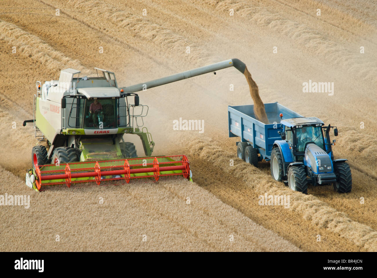 Kombinieren Sie Harvester Traktor Stockfoto
