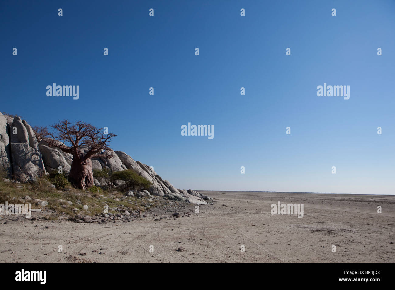 Kubu Island, Botswana Stockfoto