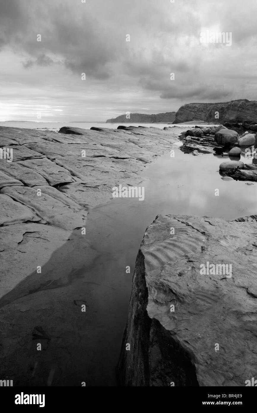 Schwarz / weiß-Landschaft der Kilve Strand mit Fossil im Vordergrund Stockfoto
