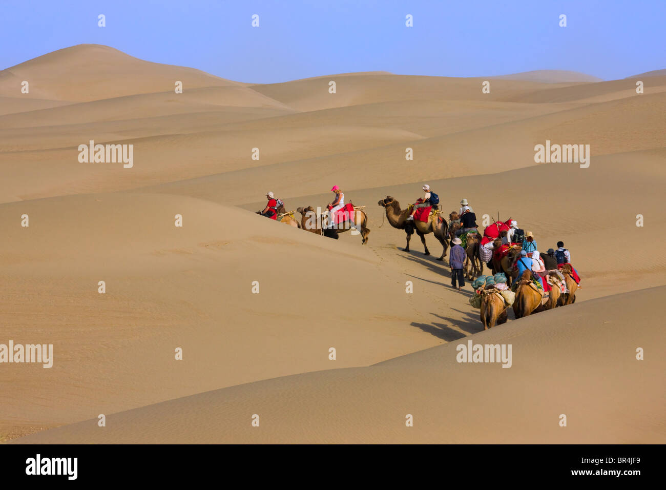 Kamel-Karawane mit Sanddüne in der Wüste, Aksu, Xinjiang, China Stockfoto