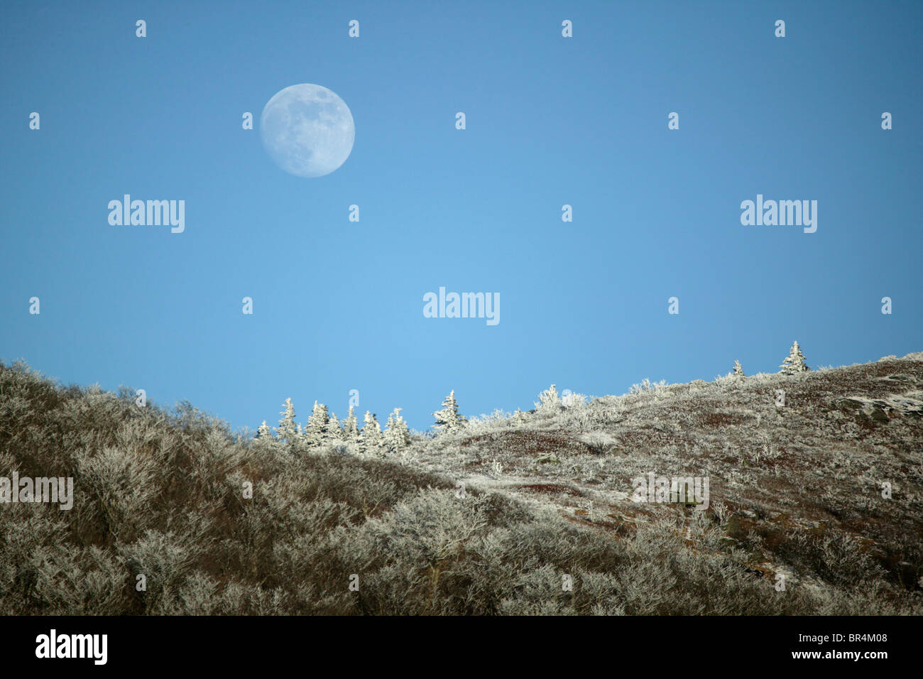 Vollmond-Sets über den Schnee/Eis bedeckt Bäume oben auf Jane Bald vom Hwy 261 in der Nähe von Roan Mountain, TN aus gesehen Stockfoto