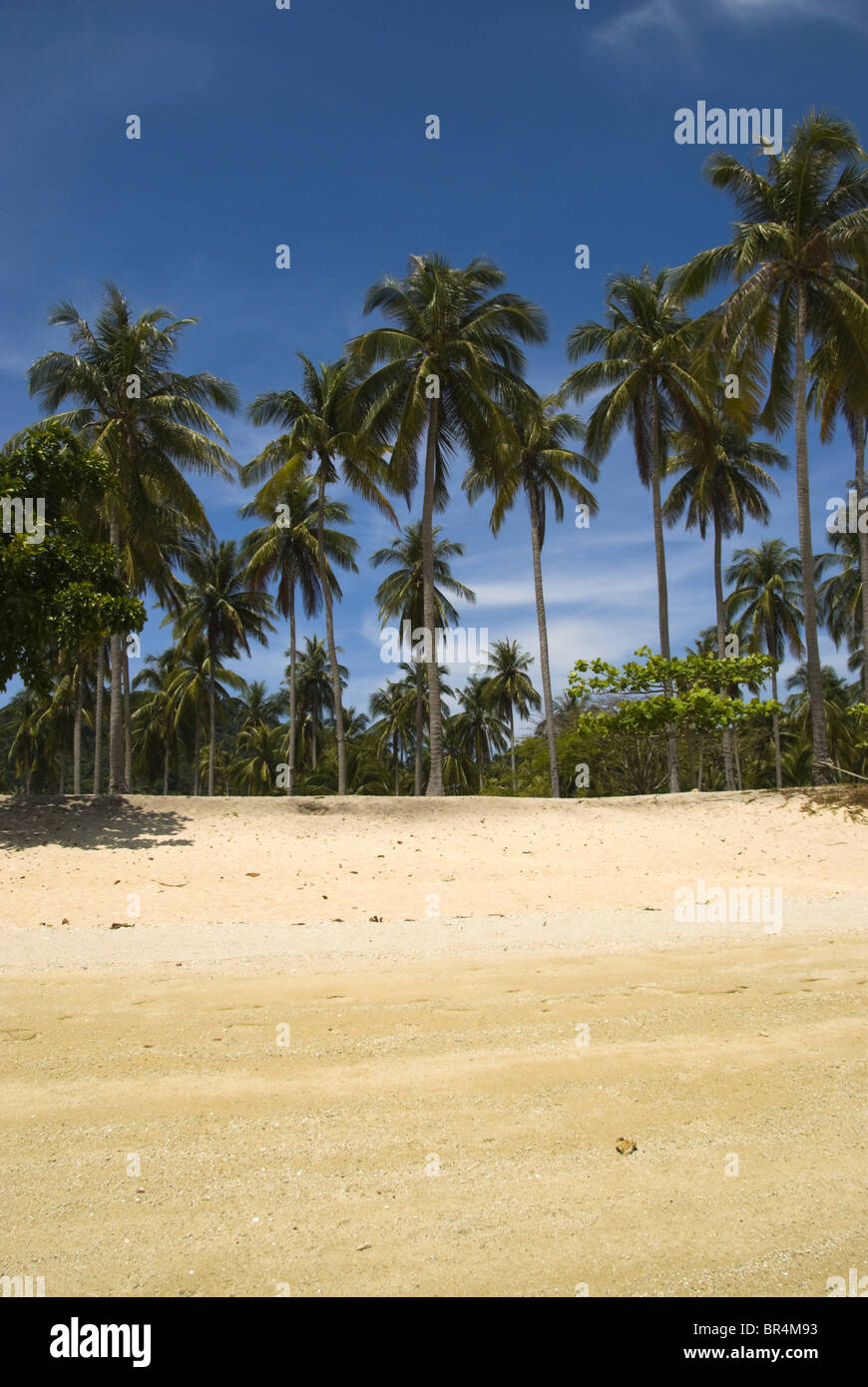 Muang Beach auf Ko Ngai Insel, Thailand Stockfoto