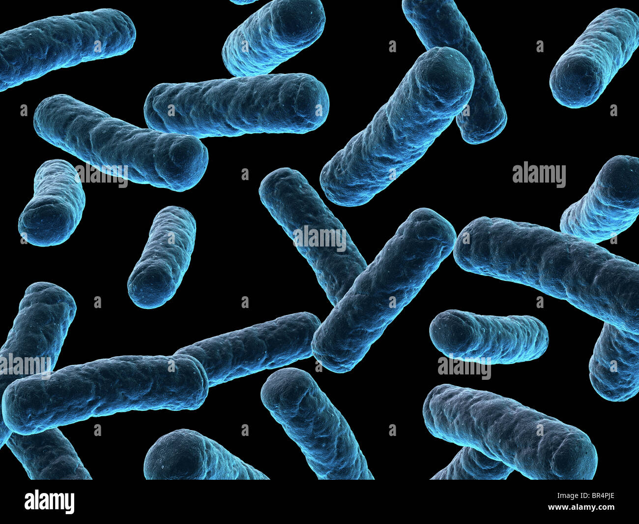 Bakterien-Abbildung Stockfoto