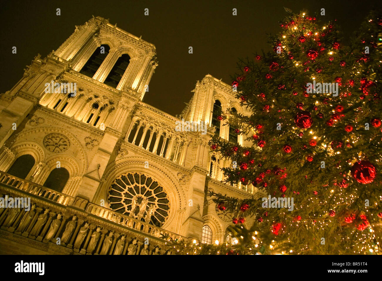 Paris (75): Notre Dame de Paris ("unsere Liebe Frau von Paris") Stockfoto
