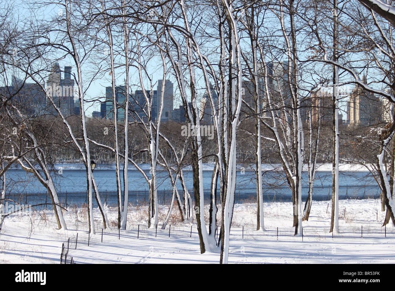 New York, Central Park, Februar 2010, Onassis Reservoir, Winter Stockfoto