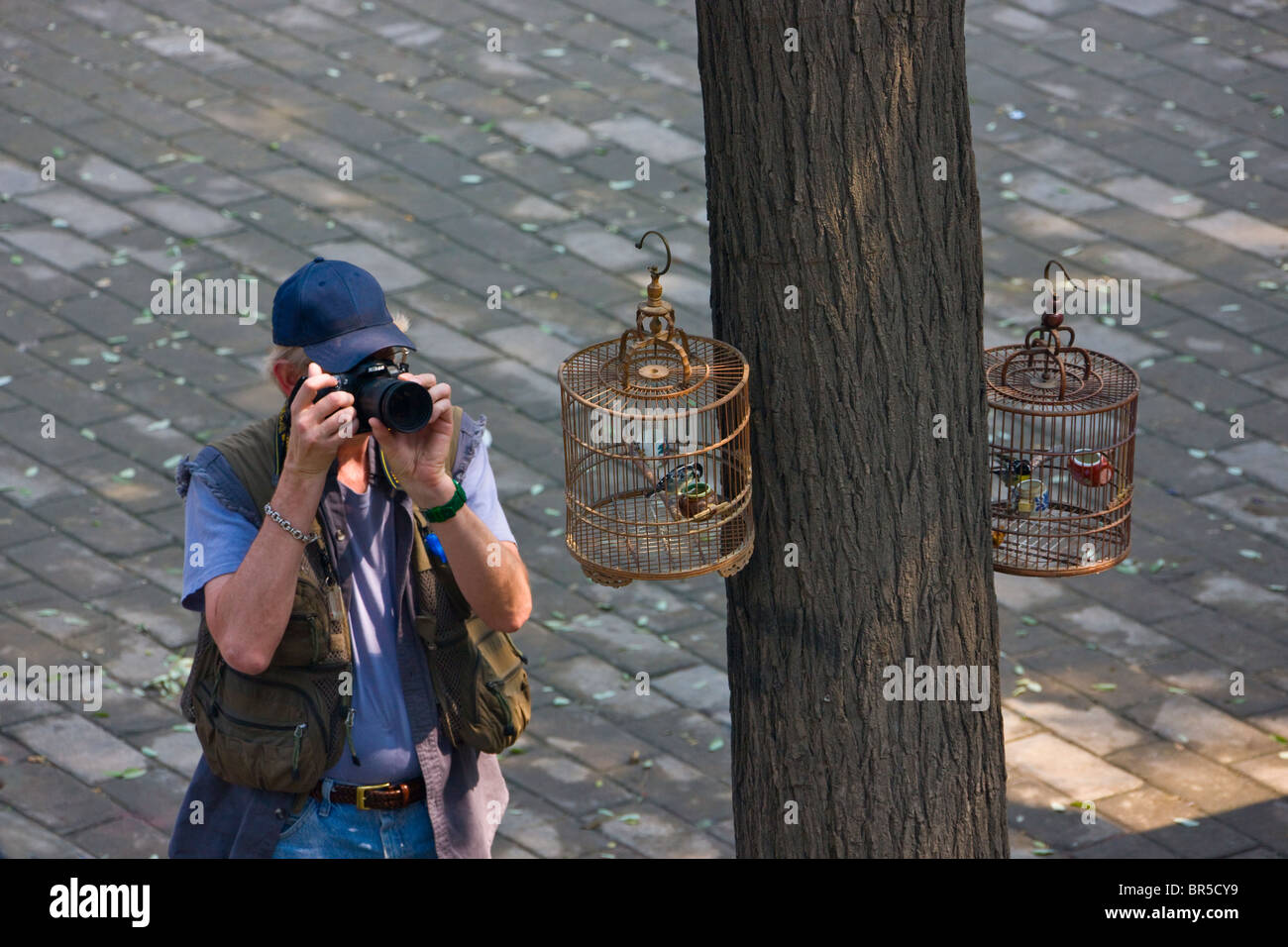 Touristen fotografieren Vogel Käfig, Xi ' an, Provinz Shaanxi, China Stockfoto