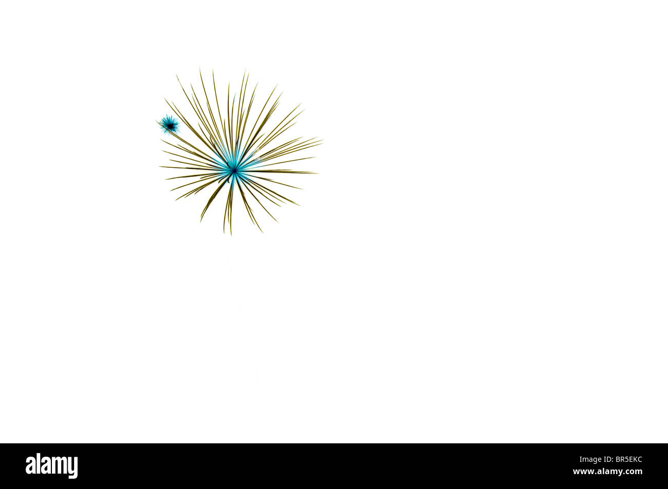 Feuerwerk während Trinity Tage, Trinity, Neufundland und Labrador, Kanada; negativen Verfahrenskonzept mit weißem Hintergrund Stockfoto