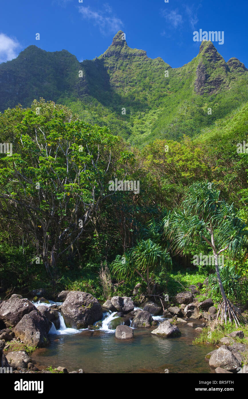Kauai, HI: Limahuli Garten, National Tropical Botanical Garden Stockfoto