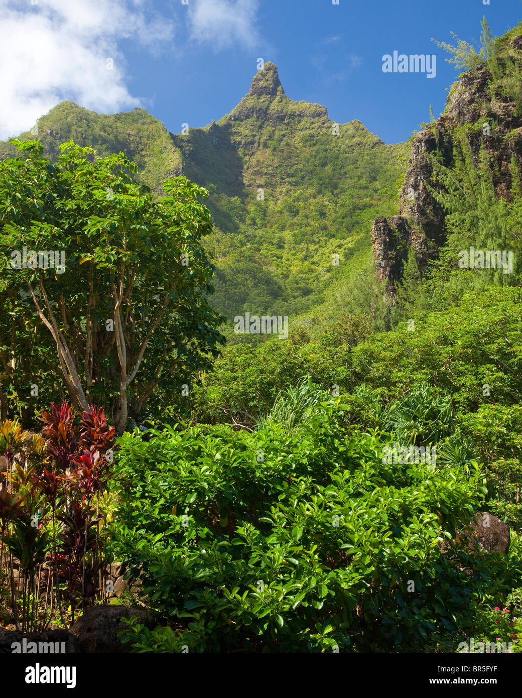Kauai, HI: Limahuli Garten, National Tropical Botanical Garden - Makena Berg Stockfoto