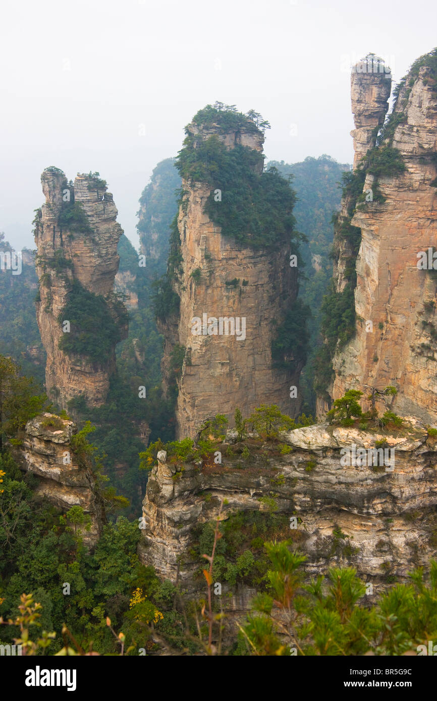Berggipfel, Zhangjiajie National Forest Park, Wulingyuan Scenic Area, Provinz Hunan, China Stockfoto