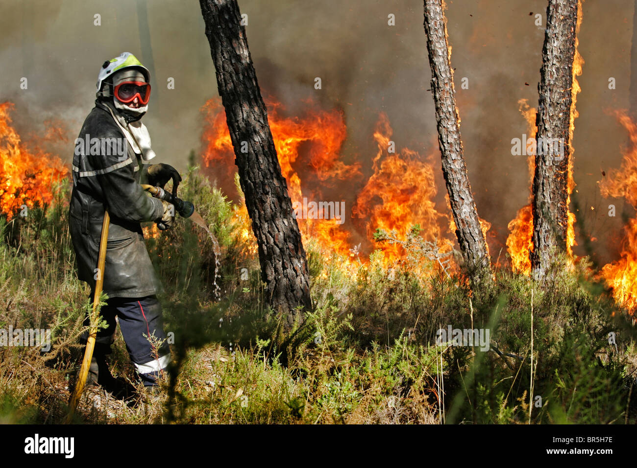 Feuerwehrmann schaut zurück, als er wartet auf den höheren Wasserdruck ein Lauffeuer zu löschen Stockfoto