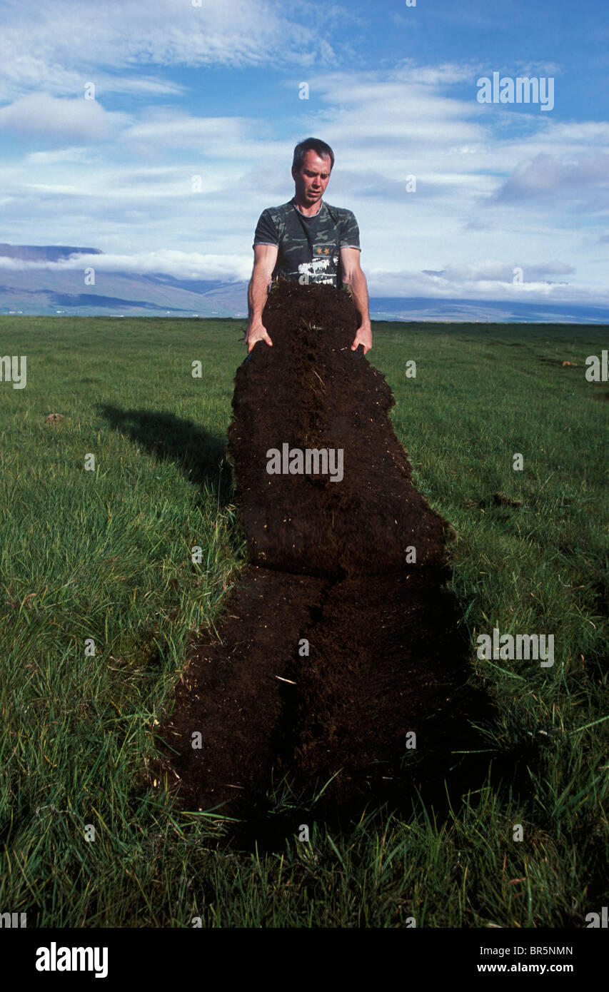 Island-Archäologie Stockfoto