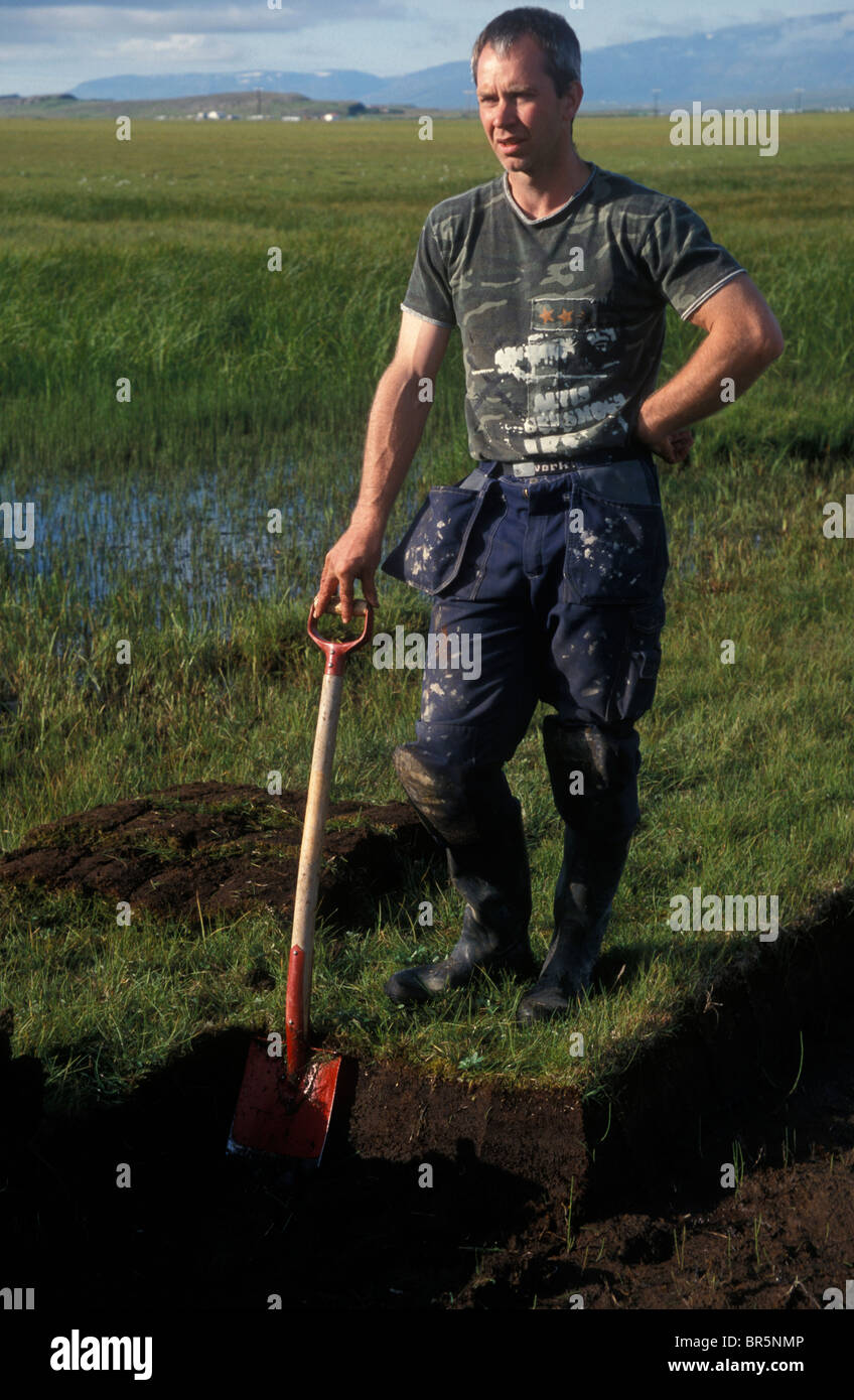 Island-Archäologie Stockfoto