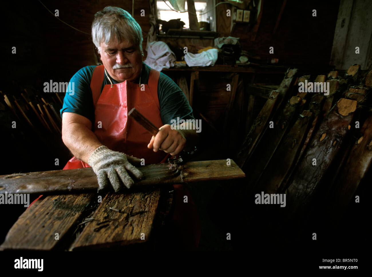 Feuchtgebiete von Louisiana Stockfoto