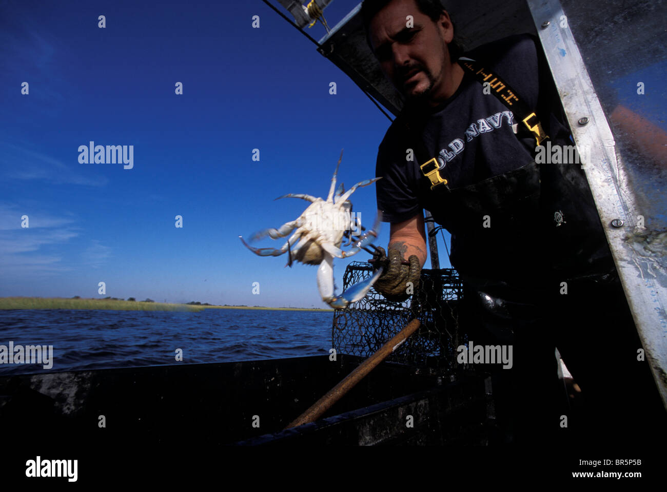 Feuchtgebiete von Louisiana Stockfoto