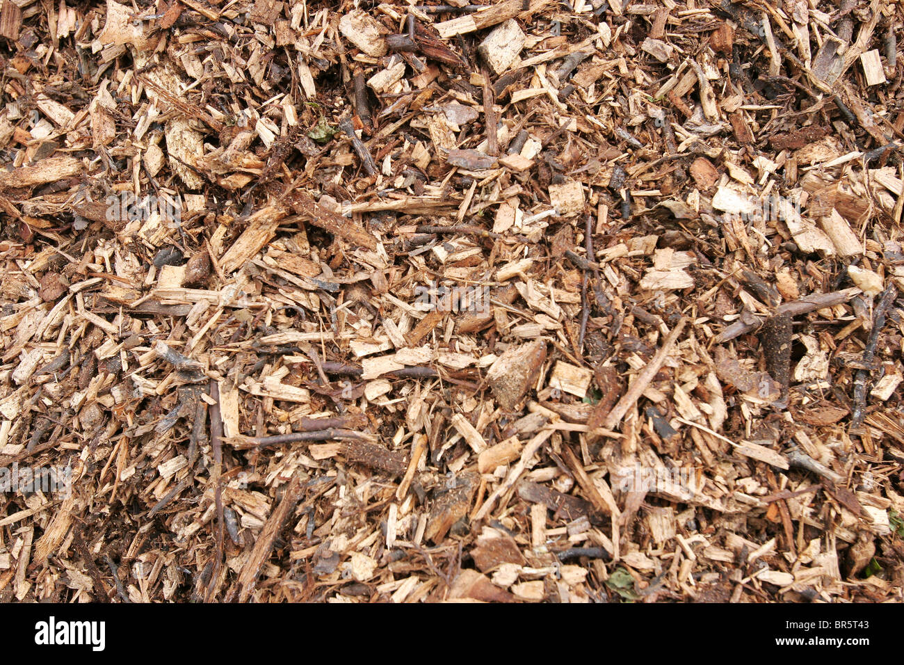 Ein Haufen Holz-Chips für das im Kraftstoff effizienter Öfen brennen. Stockfoto
