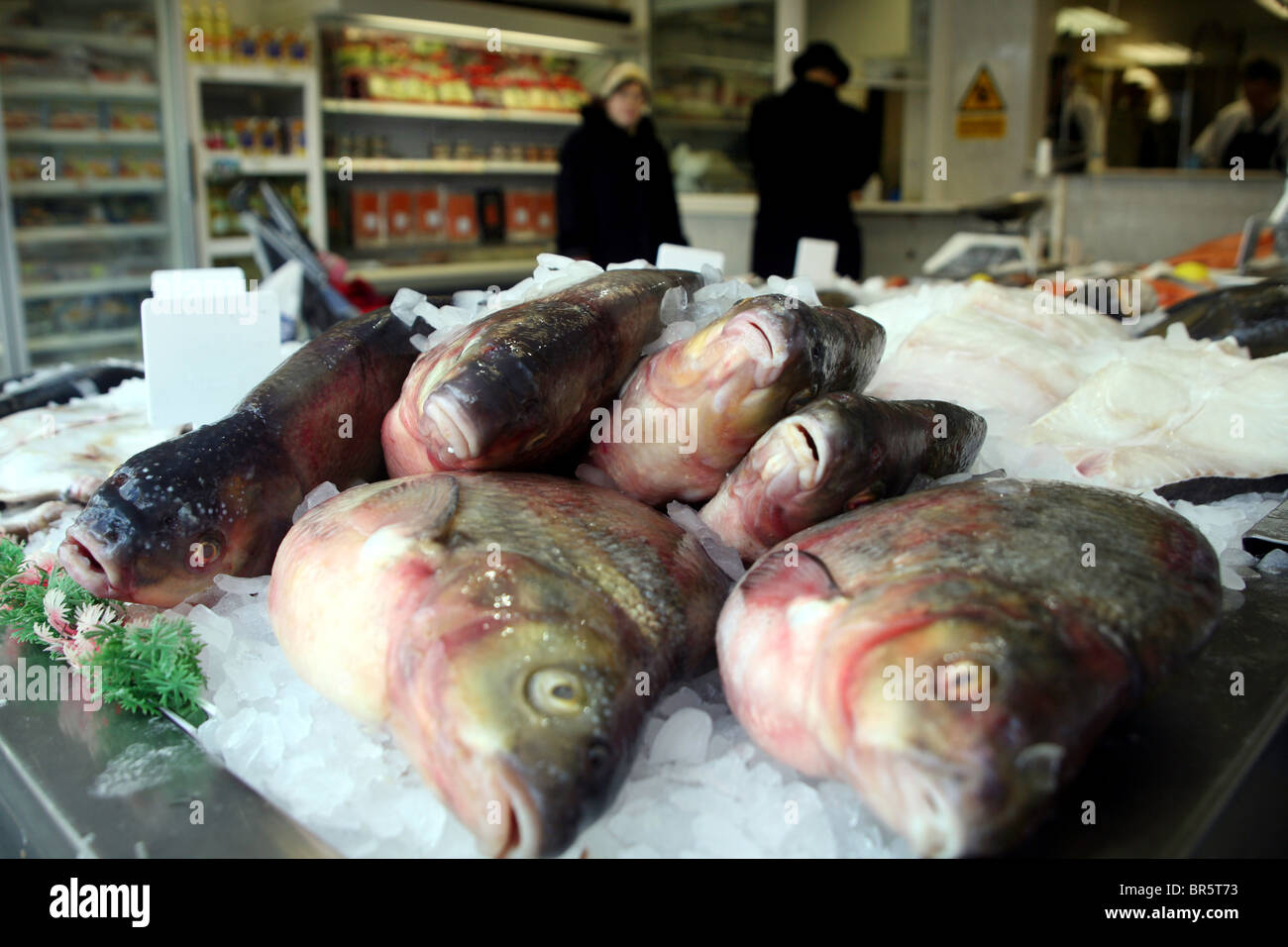 Karpfen zu verkaufen in einem Stamford Hill jüdischen laufen Fischhändler. Stockfoto
