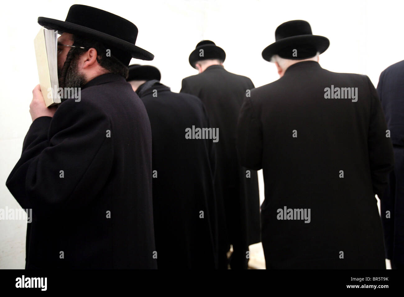 Orthodoxe Juden aus Stamford Hill beten vor dem Grab des Rabbi Shulem Moshkovitz. Stockfoto