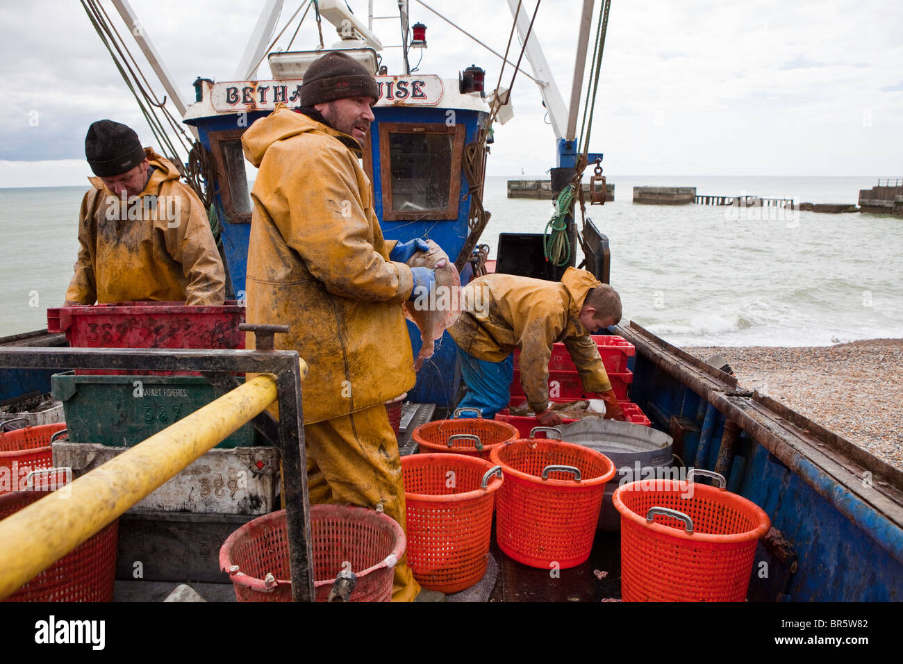 Die Fischer ihren Fang an Bord ihres Bootes in Hastings, England festgemacht aussortieren. Stockfoto