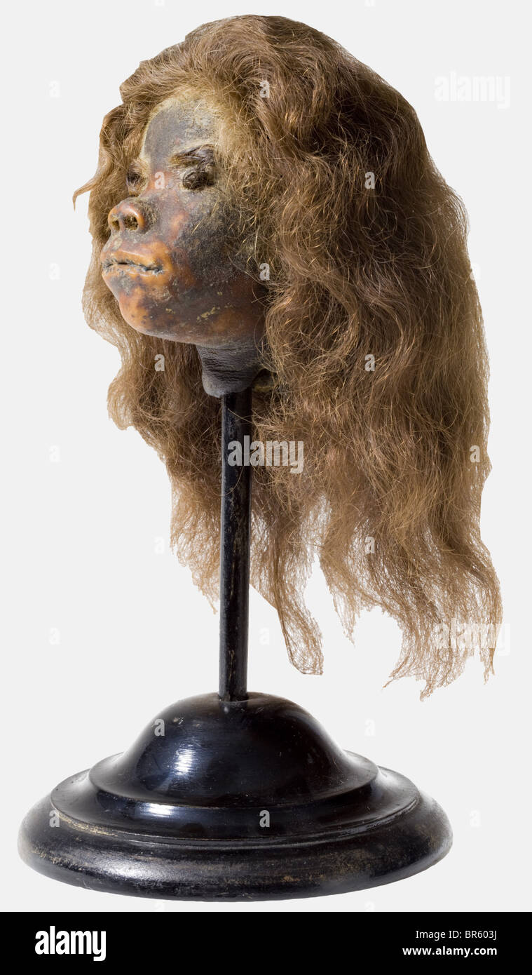 Ein geschrumpfter Kopf, das Amazonasgebiet Lang welliges braunes Haar, die Augen nicht genäht, der Mund mit Eindrücken und Resten von Nähschnur. Hals und Hinterkopf mit einer Vorbereitungsnaht. Höhe des Kopfes ca. 11 cm. Gut erhaltenes Stück und eindrucksvolle Belege für die Praxis der Kopfjagd unter den südamerikanischen Indianerstämmen, die bis in die 1950er Jahre andauerte. Ein ungewöhnliches Merkmal ist das wellige braune Haar, das nur bei wenigen Stämmen im Amazonasgebiet zu finden ist: Historisches, historisches 20. Jahrhundert, Amerikaner, Amerika, Völkerkunde, Ethnie, Ethnie, Objekt, Stockfoto