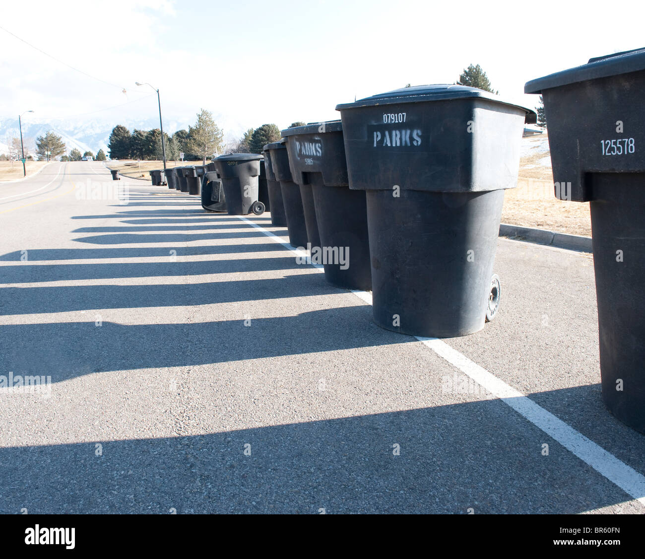 Überflüssige Dosen entlang einer Straße in einem öffentlichen park Stockfoto