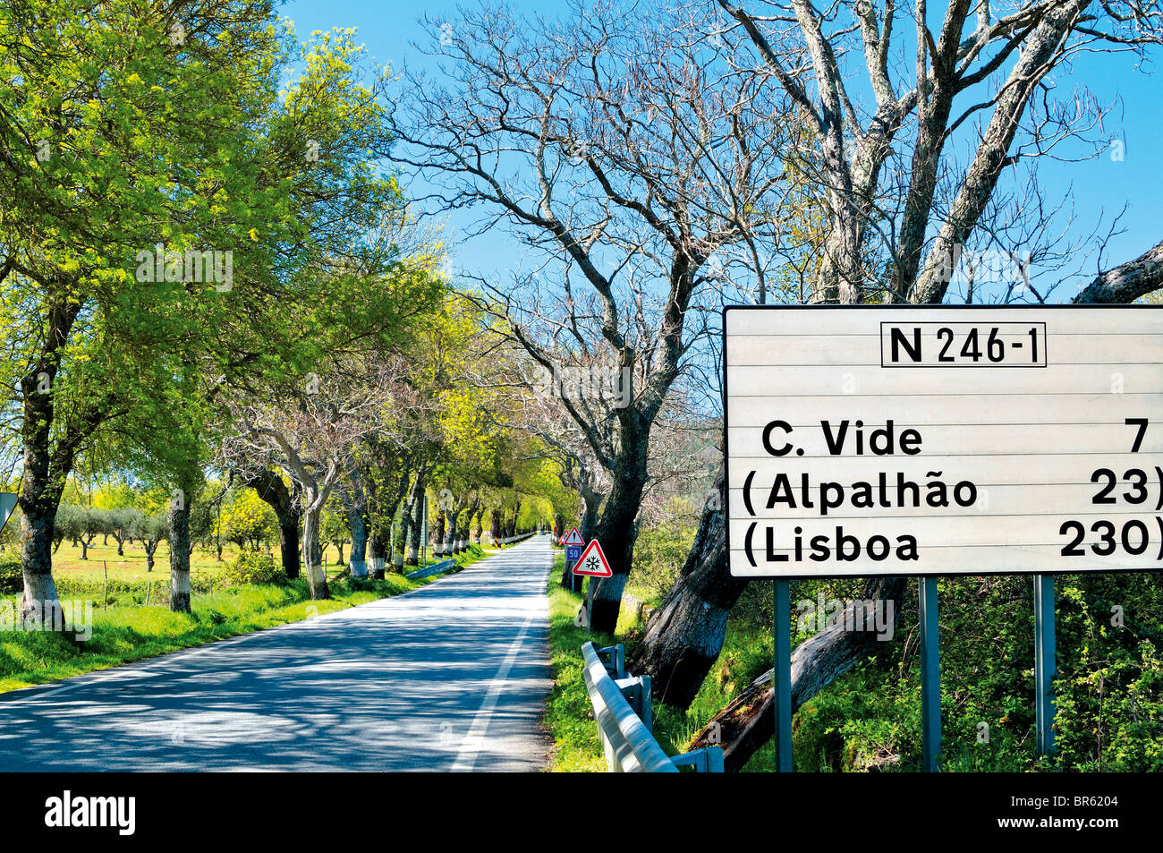 Portugal, Alentejo: Straße von Marvao, Castelo de Vide Stockfoto