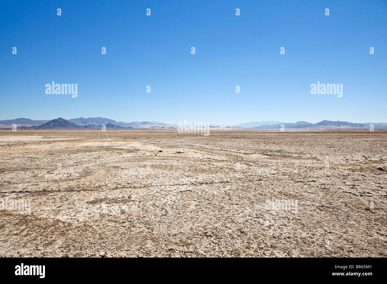 Spätsommer am Zzyzx trocknen See tief in California der Mojave-Wüste. Stockfoto