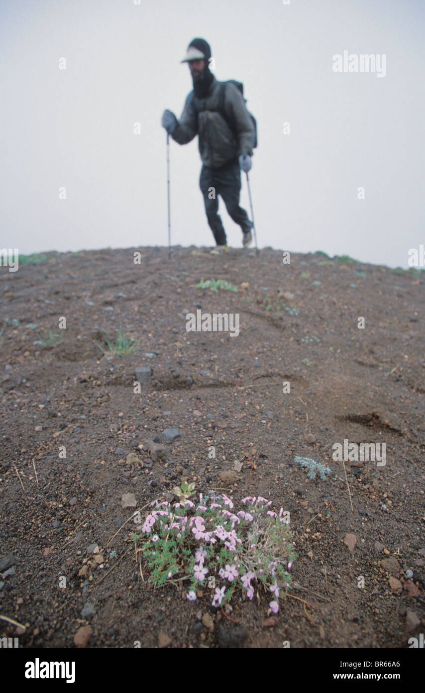 Ein Mann versucht, beim Wandern auf dem Pacific Crest Trail trocken zu bleiben. Stockfoto