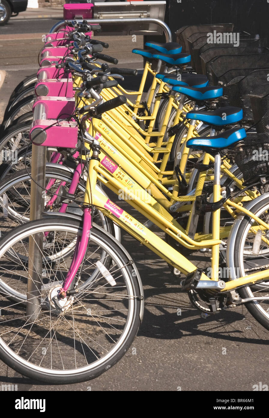 Reihe von farbigen Fahrräder zu mieten. Stockfoto