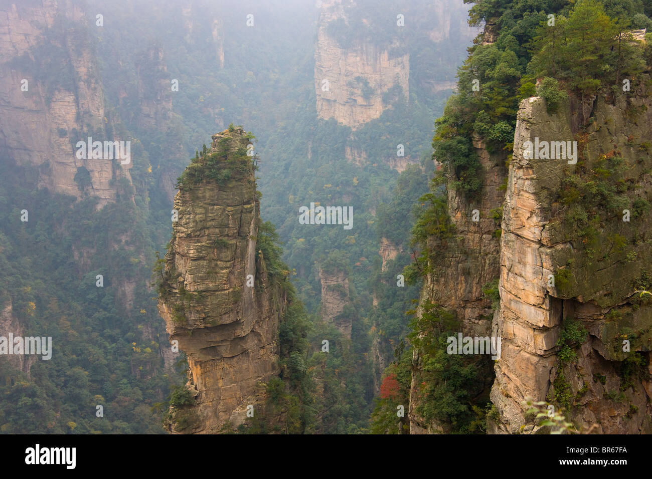 Berggipfel, Zhangjiajie National Forest Park, Wulingyuan Scenic Area, Provinz Hunan, China Stockfoto