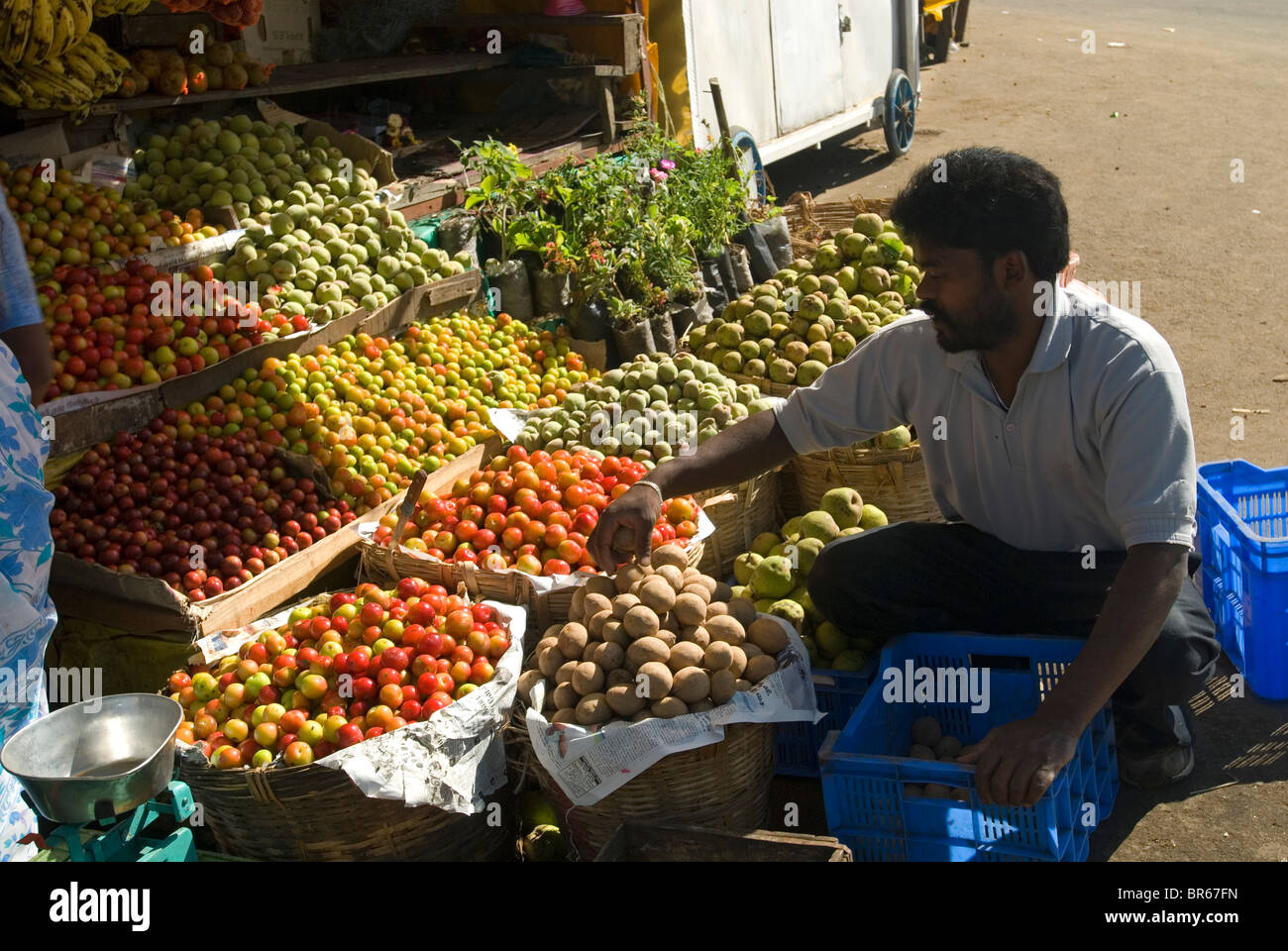 Ein Obstladen in Kodaikanal, Tamil Nadu. Stockfoto