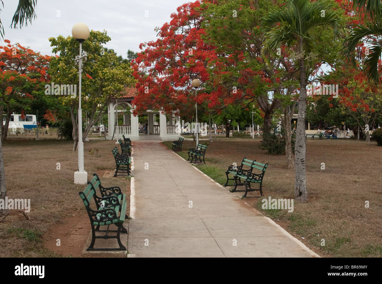 Kubanische Straßenszene Stockfoto
