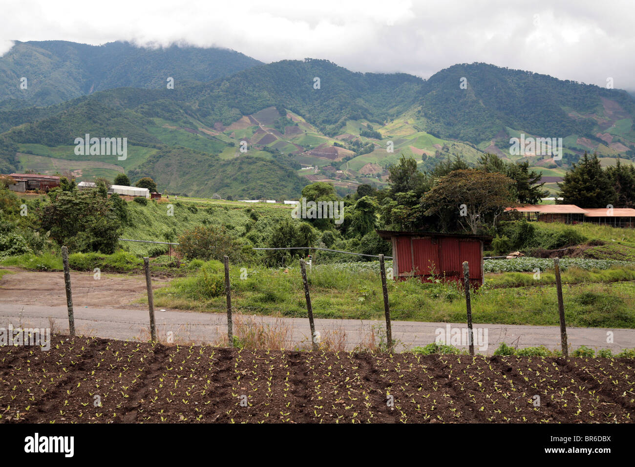 Landschaften der Provinz Chiriqui, orientalischen Region von Panama, in Boquete. Stockfoto