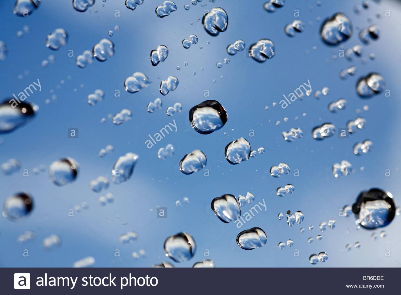 Regentropfen auf der Fensterscheibe mit blauem Himmel Stockfoto