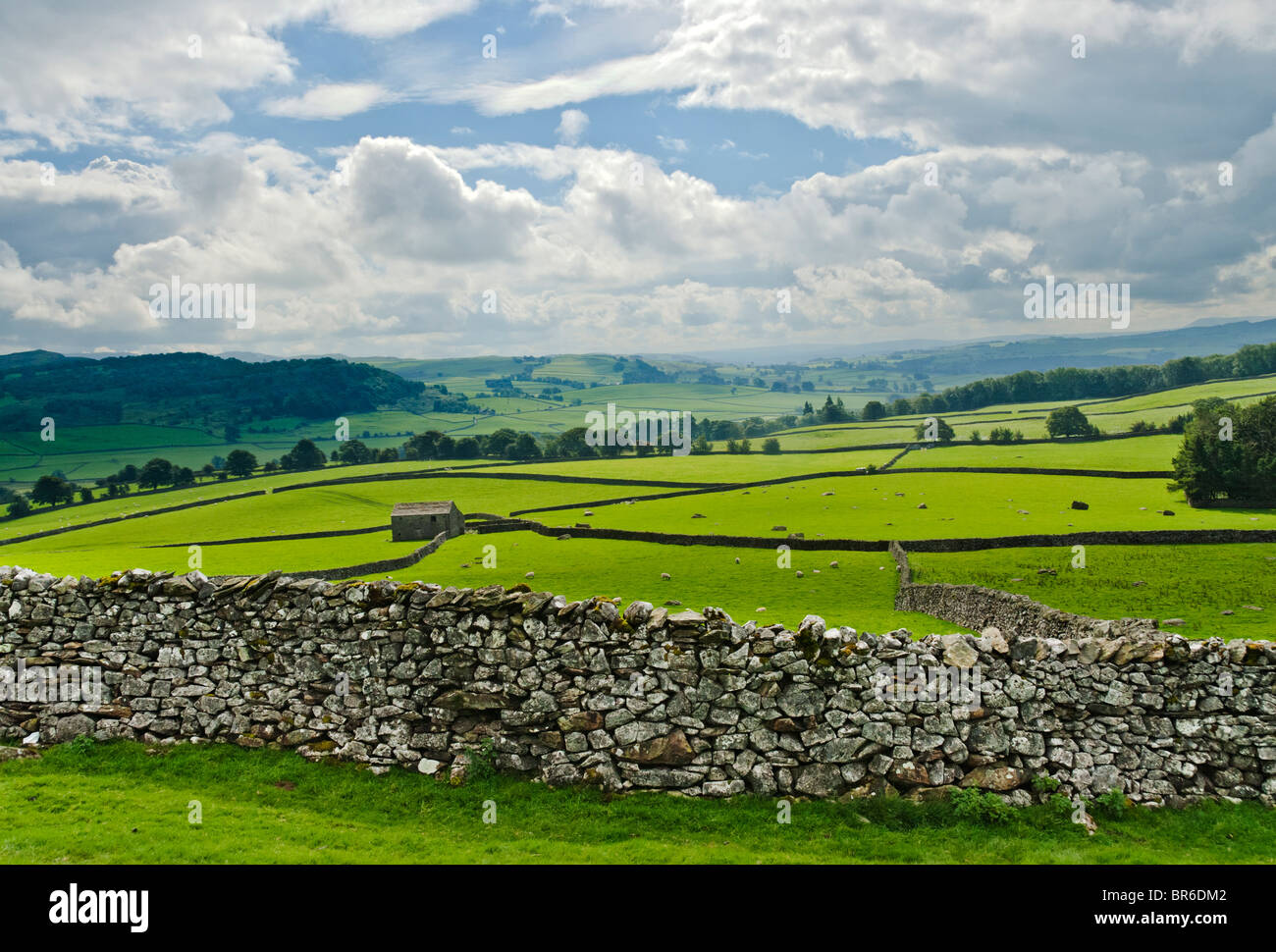 Trockenen Sie Steinmauern, Ribblesdale, Yorkshire Dales Stockfoto