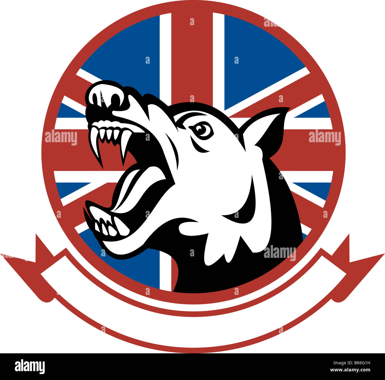 Beispiel für ein wütend ausgebildeter Wachhund mit britischer Flagge im Hintergrund Stockfoto