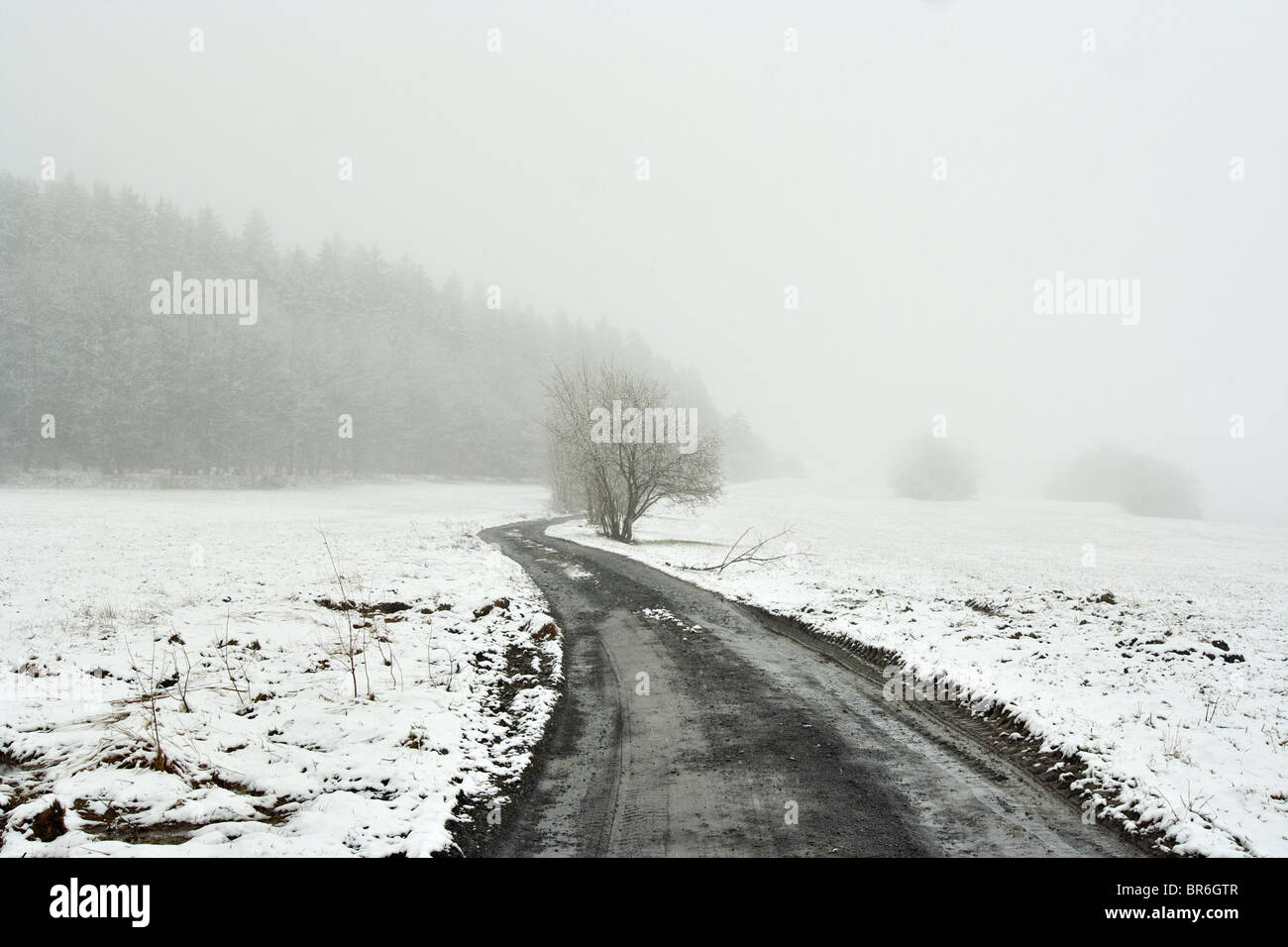 verschneite Winterlandschaft mit Feldweg Stockfoto