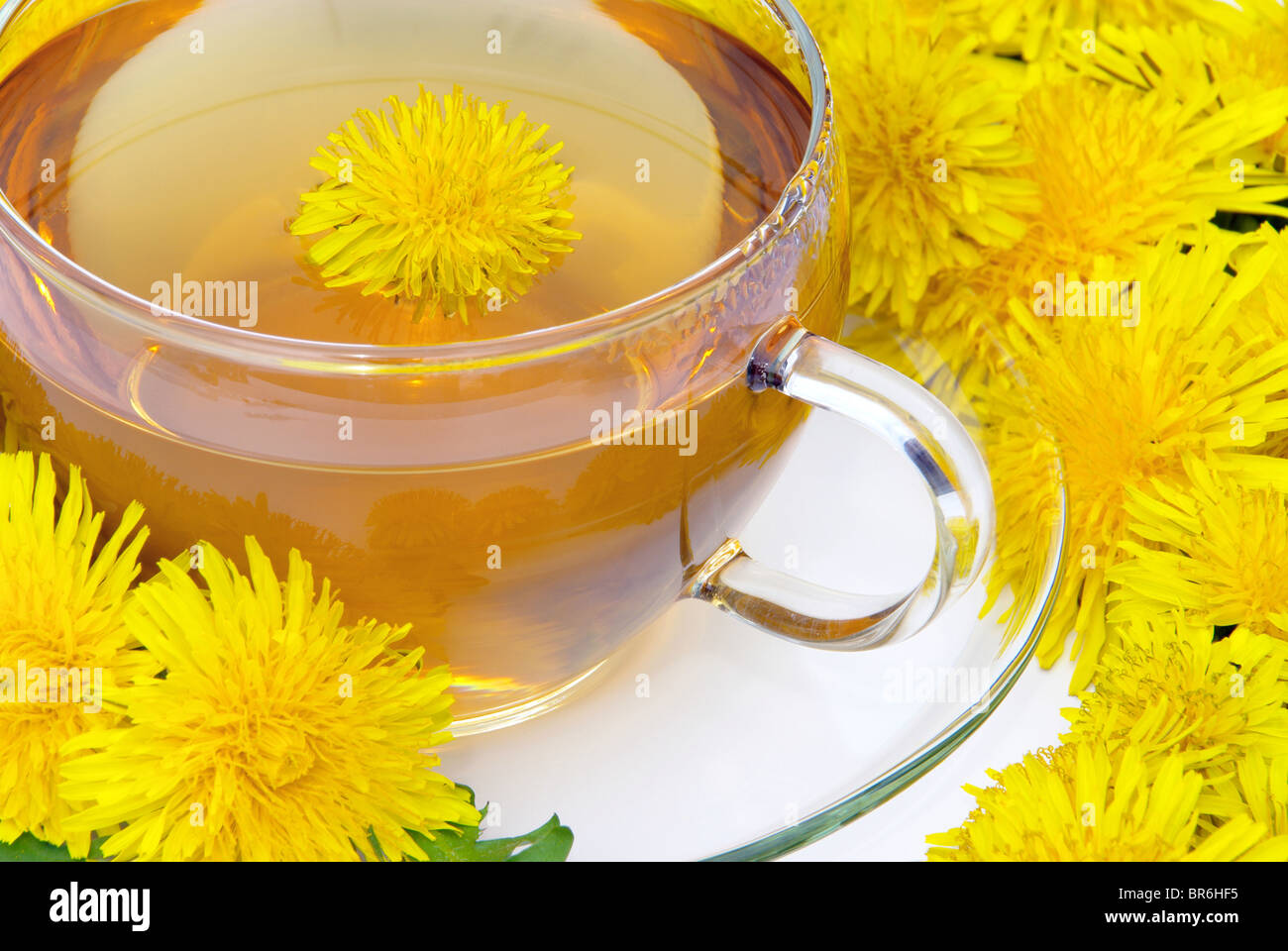 T-Stück-Löwenzahn - Löwenzahn Tee 08 Stockfoto