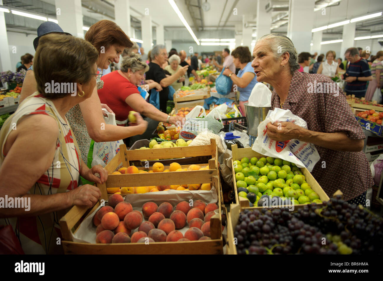 Obst-Marktstand auf dem städtischen Marktplatz in Fundão, Beira Interior, Portugal Stockfoto