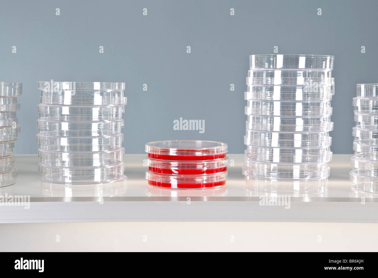 Drei verwendet Petrischalen und Stapel von ungenutzten Petrischalen Stockfoto