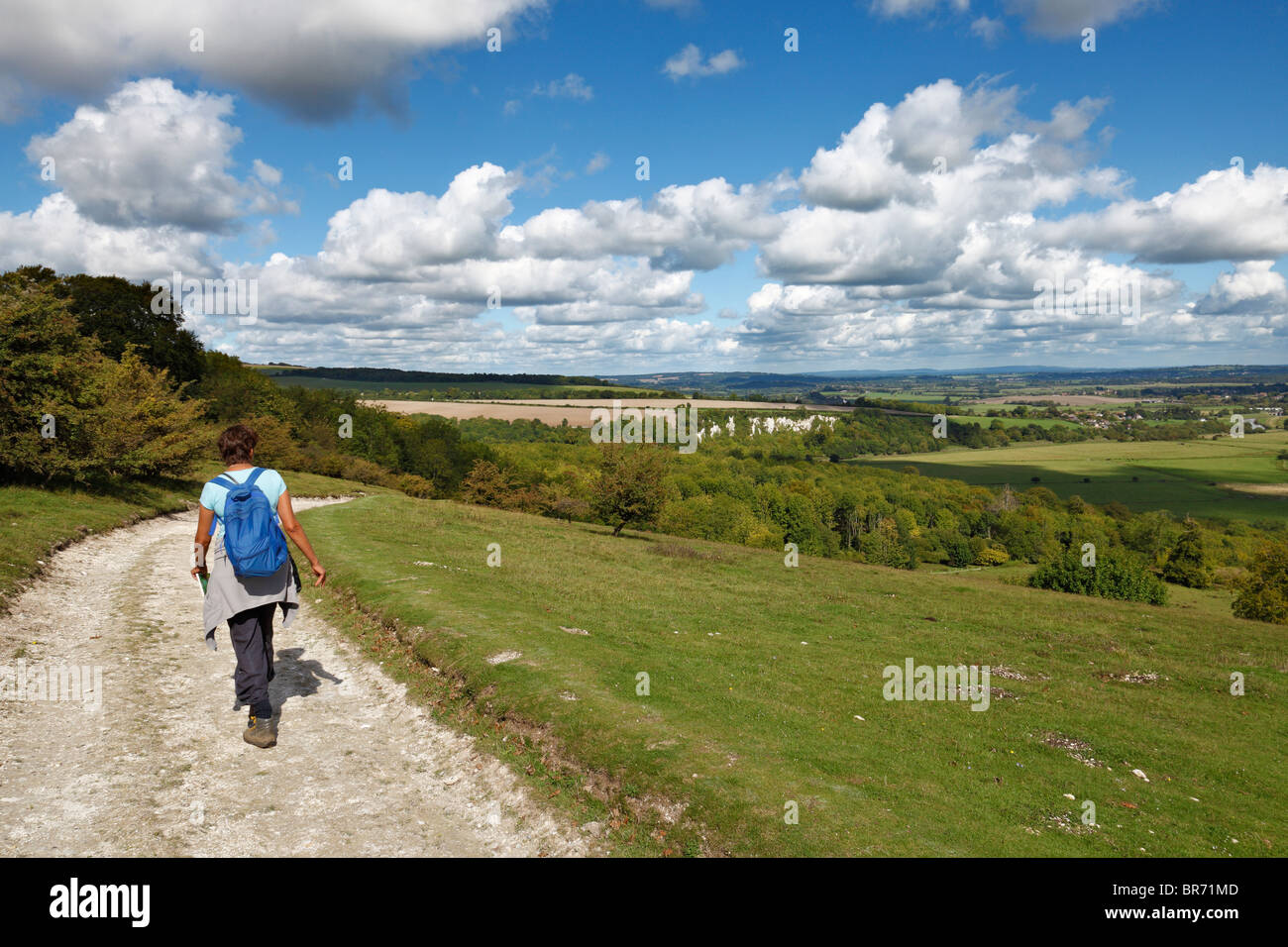 Frau zu Fuß entlang der South Downs. Stockfoto