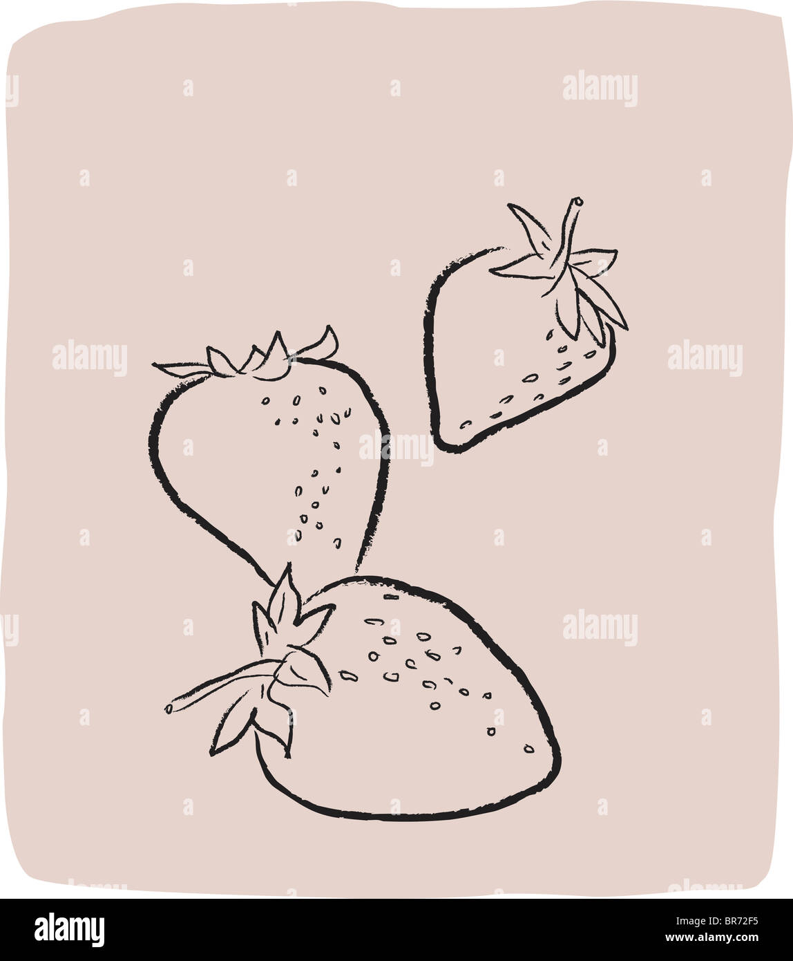 Eine strukturierte Zeichnung von Erdbeeren Stockfoto