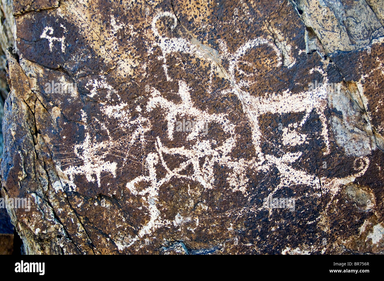 Gobi Petroglyphen Mongolei Stockfoto